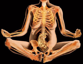 Osteopatia y masaje en Madrid