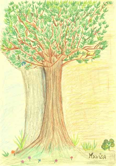 el árbol de mi yo de Mavida