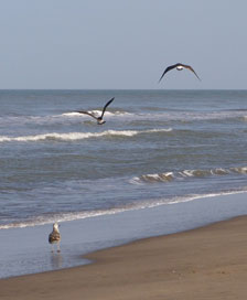 Volar y ser lo que somos